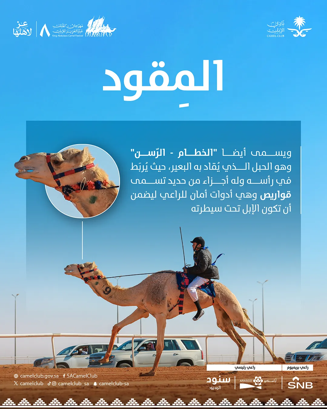 المقود