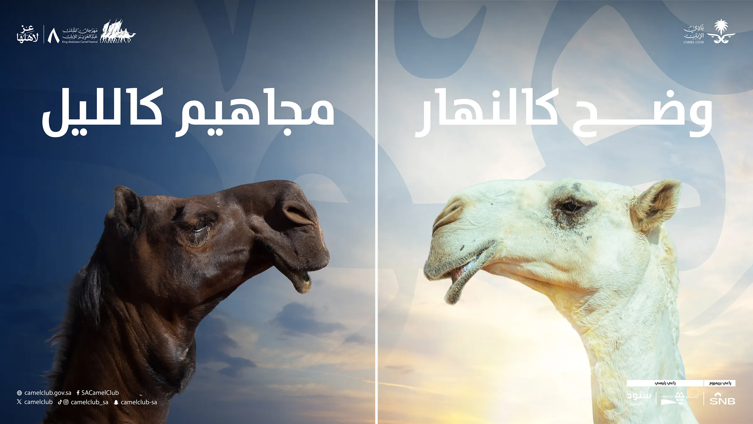 الوضح والمجاهيم -03