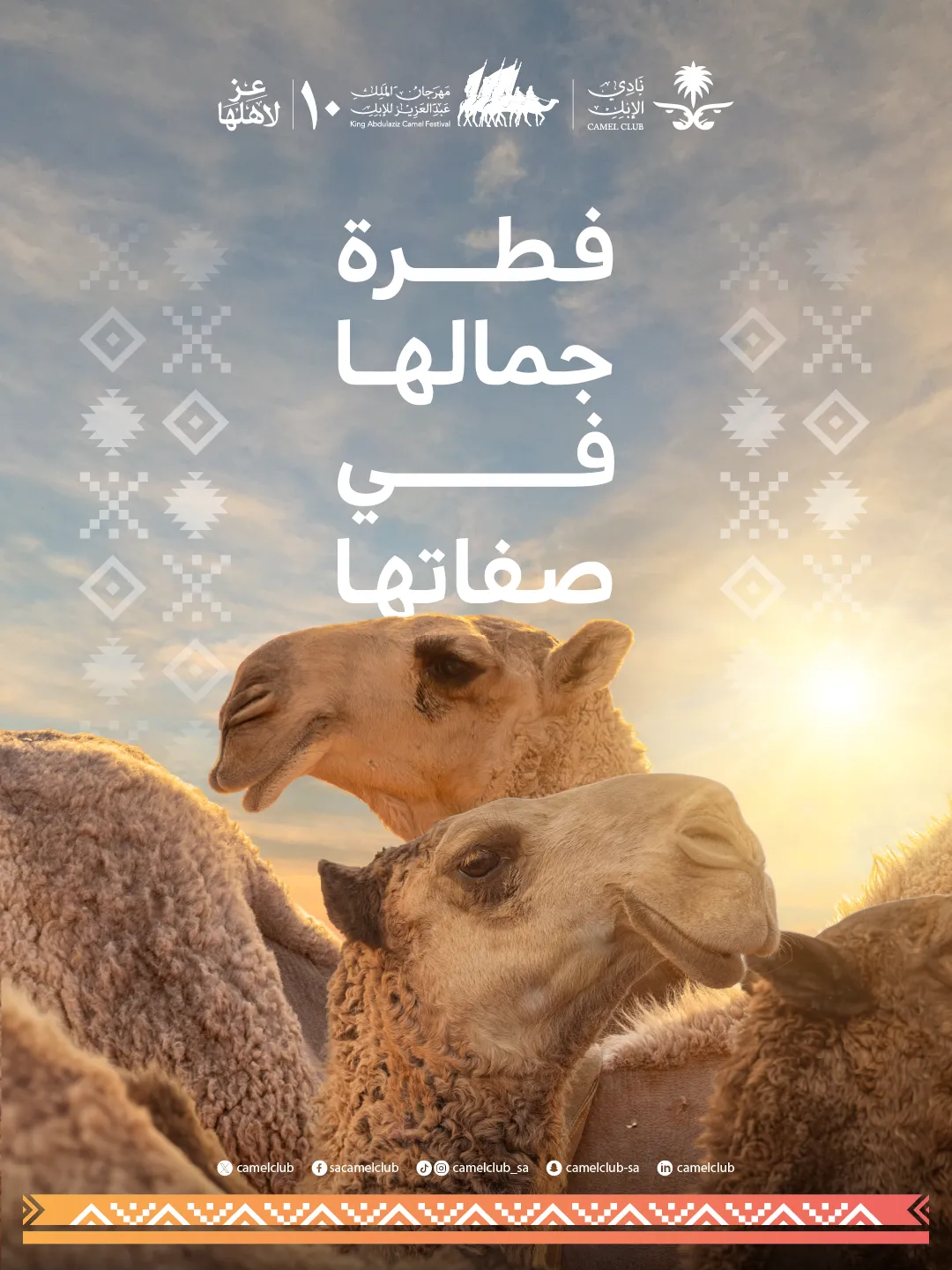 Camel Club