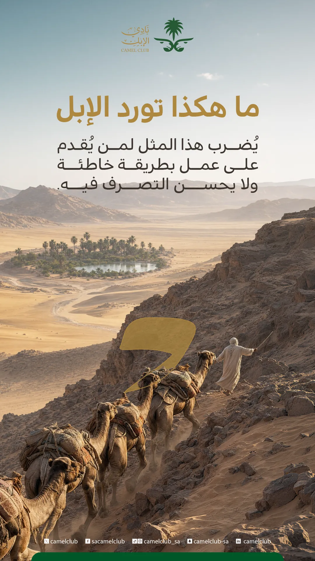 ما هكذا تورد الإبل