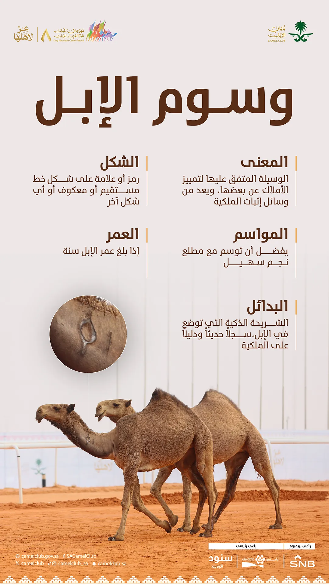 وسوم الإبل